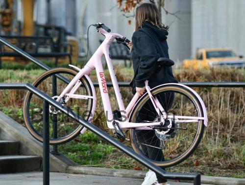 LeMond Dutch ficha tecnica 